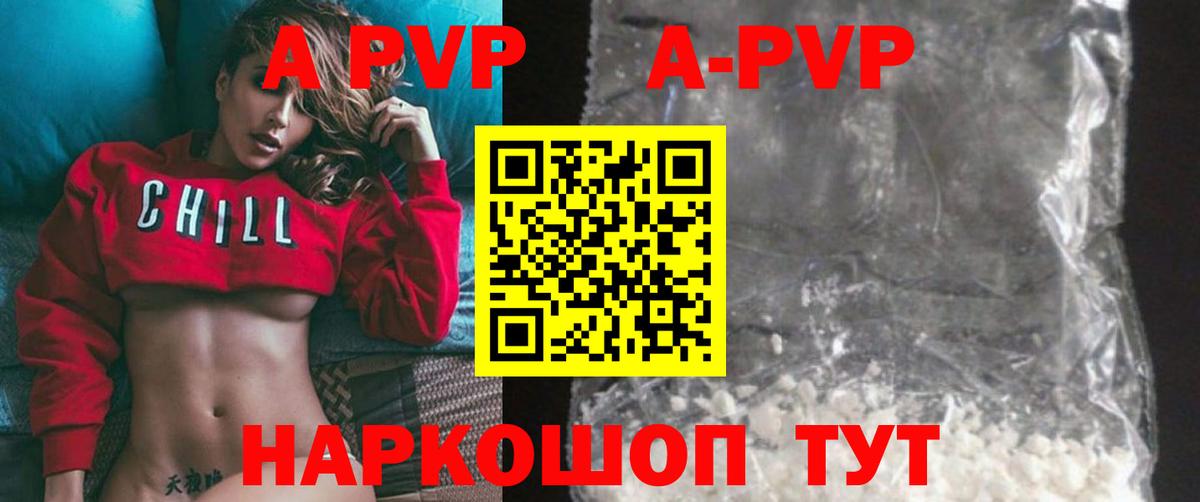 Альфа ПВП СК КРИС Назрань