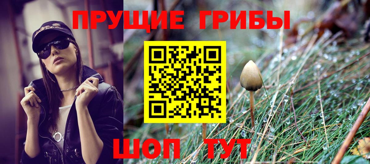 Назрань  купить   Вход с VPN  Галлюциногенные грибы Cubensis 